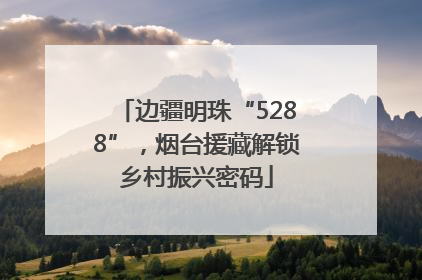 边疆明珠“5288”，烟台援藏解锁乡村振兴密码
