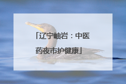 辽宁岫岩：中医药夜市护健康