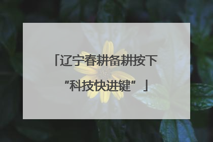 辽宁春耕备耕按下“科技快进键”