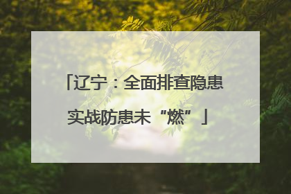 辽宁：全面排查隐患 实战防患未“燃”