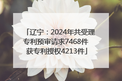辽宁：2024年共受理专利预审请求7468件 获专利授权4213件