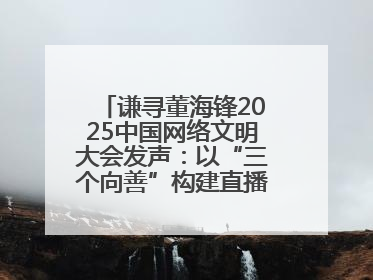 谦寻董海锋2025中国网络文明大会发声：以“三个向善”构建直播电商善意长河