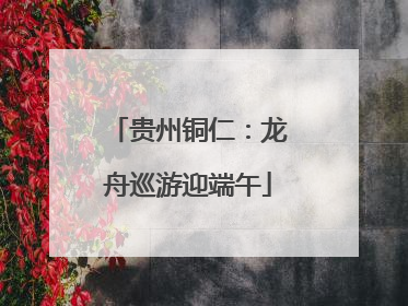 贵州铜仁：龙舟巡游迎端午