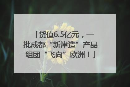 货值6.5亿元，一批成都“新津造”产品组团“飞向”欧洲！