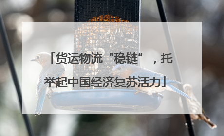 货运物流“稳链”，托举起中国经济复苏活力