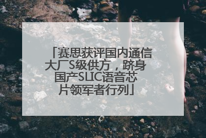 赛思获评国内通信大厂S级供方，跻身国产SLIC语音芯片领军者行列