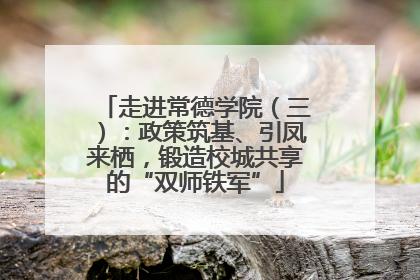走进常德学院（三）：政策筑基、引凤来栖，锻造校城共享的“双师铁军”