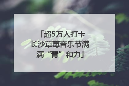 超5万人打卡 长沙草莓音乐节满满“青”和力