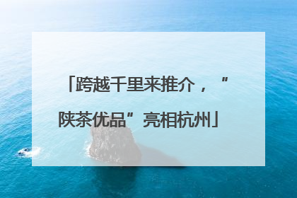 跨越千里来推介，“陕茶优品”亮相杭州