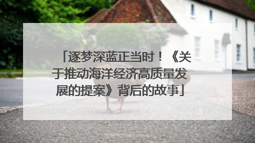 逐梦深蓝正当时！《关于推动海洋经济高质量发展的提案》背后的故事
