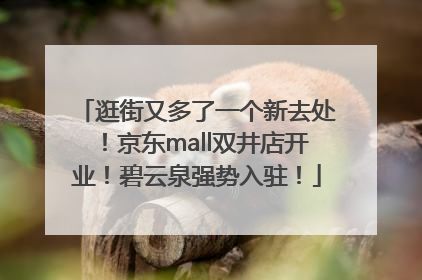 逛街又多了一个新去处！京东mall双井店开业！碧云泉强势入驻！