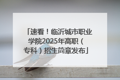 速看！临沂城市职业学院2025年高职（专科）招生简章发布