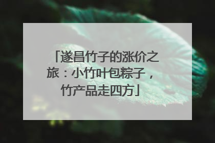 遂昌竹子的涨价之旅：小竹叶包粽子，竹产品走四方