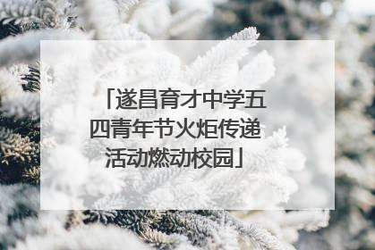 遂昌育才中学五四青年节火炬传递活动燃动校园
