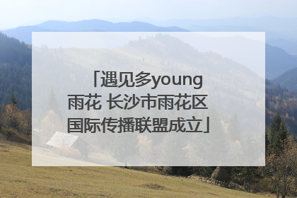 遇见多young雨花 长沙市雨花区国际传播联盟成立