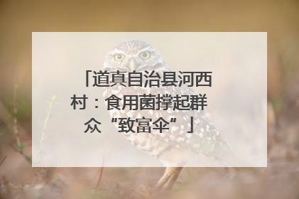 道真自治县河西村：食用菌撑起群众“致富伞”
