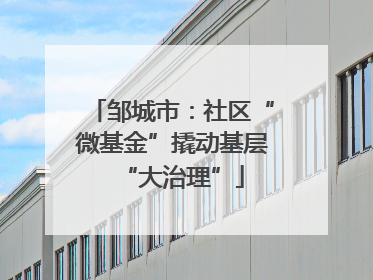 邹城市：社区“微基金”撬动基层“大治理”
