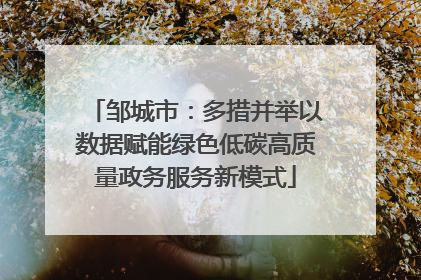 邹城市：多措并举以数据赋能绿色低碳高质量政务服务新模式