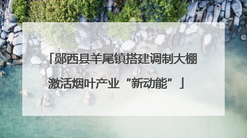 郧西县羊尾镇搭建调制大棚激活烟叶产业“新动能”