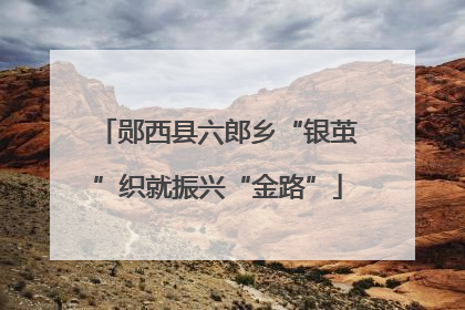 郧西县六郎乡“银茧”织就振兴“金路”