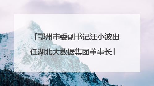 鄂州市委副书记汪小波出任湖北大数据集团董事长