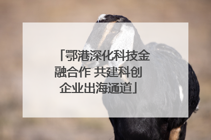 鄂港深化科技金融合作 共建科创企业出海通道