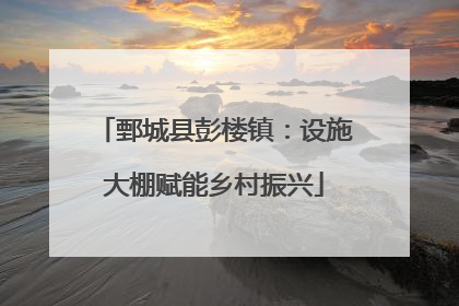 鄄城县彭楼镇：设施大棚赋能乡村振兴