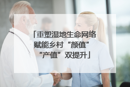 重塑湿地生命网络 赋能乡村“颜值”“产值”双提升