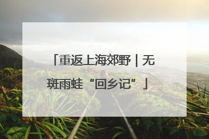 重返上海郊野｜无斑雨蛙“回乡记”