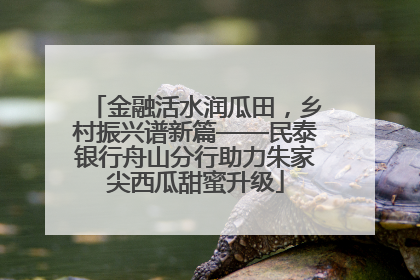 金融活水润瓜田，乡村振兴谱新篇——民泰银行舟山分行助力朱家尖西瓜甜蜜升级