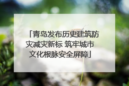青岛发布历史建筑防灾减灾新标 筑牢城市文化根脉安全屏障