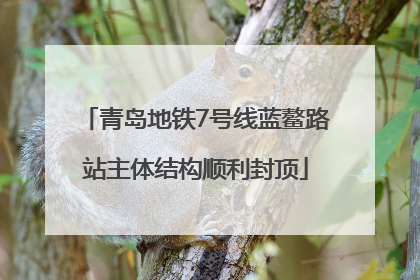 青岛地铁7号线蓝鳌路站主体结构顺利封顶