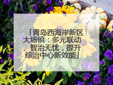 青岛西海岸新区大场镇：多元联动、智治无忧，提升综治中心新效能