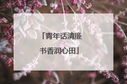青年话清廉 书香润心田