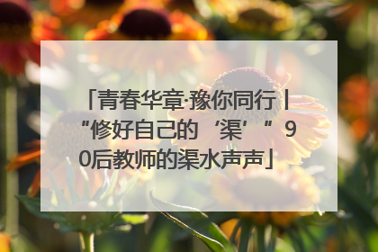 青春华章·豫你同行丨“修好自己的‘渠’”90后教师的渠水声声