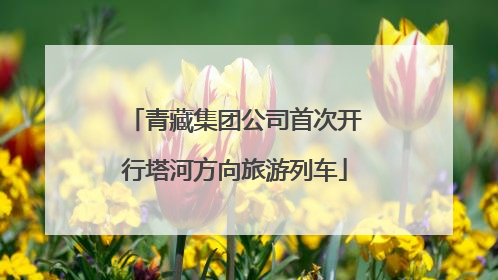 青藏集团公司首次开行塔河方向旅游列车