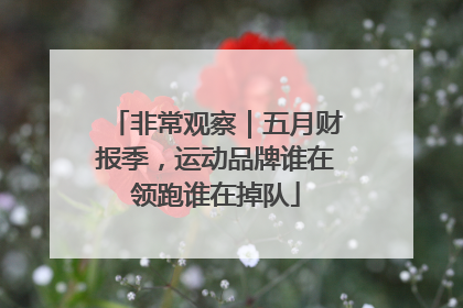 非常观察｜五月财报季，运动品牌谁在领跑谁在掉队