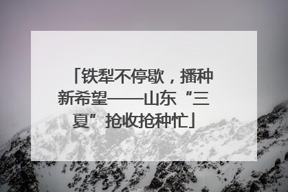 铁犁不停歇，播种新希望——山东“三夏”抢收抢种忙
