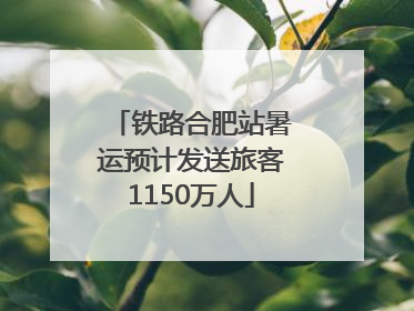 铁路合肥站暑运预计发送旅客1150万人