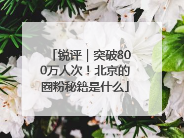 锐评｜突破800万人次！北京的圈粉秘籍是什么