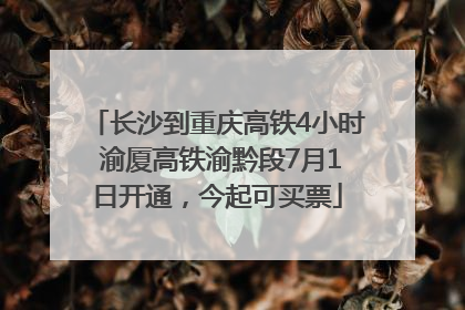 长沙到重庆高铁4小时 渝厦高铁渝黔段7月1日开通，今起可买票