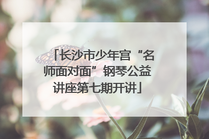 长沙市少年宫“名师面对面”钢琴公益讲座第七期开讲
