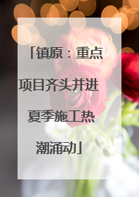 镇原：重点项目齐头并进 夏季施工热潮涌动