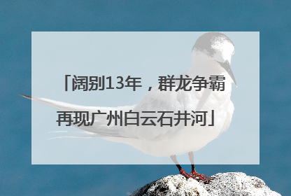阔别13年，群龙争霸再现广州白云石井河