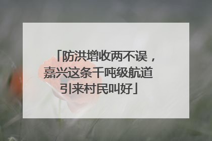防洪增收两不误，嘉兴这条千吨级航道引来村民叫好