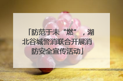 防范于未“燃”，湖北谷城警消联合开展消防安全宣传活动