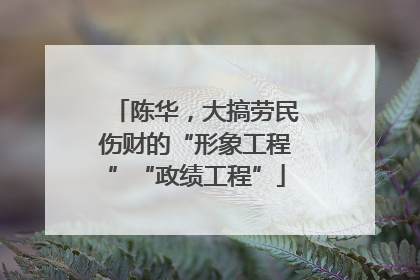 陈华，大搞劳民伤财的“形象工程”“政绩工程”