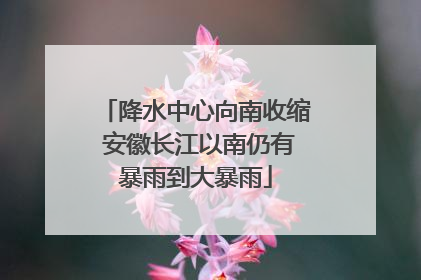 降水中心向南收缩 安徽长江以南仍有暴雨到大暴雨