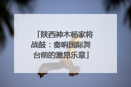 陕西神木杨家将战鼓：奏响国际舞台前的激昂乐章