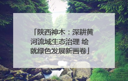 陕西神木：深耕黄河流域生态治理 绘就绿色发展新画卷